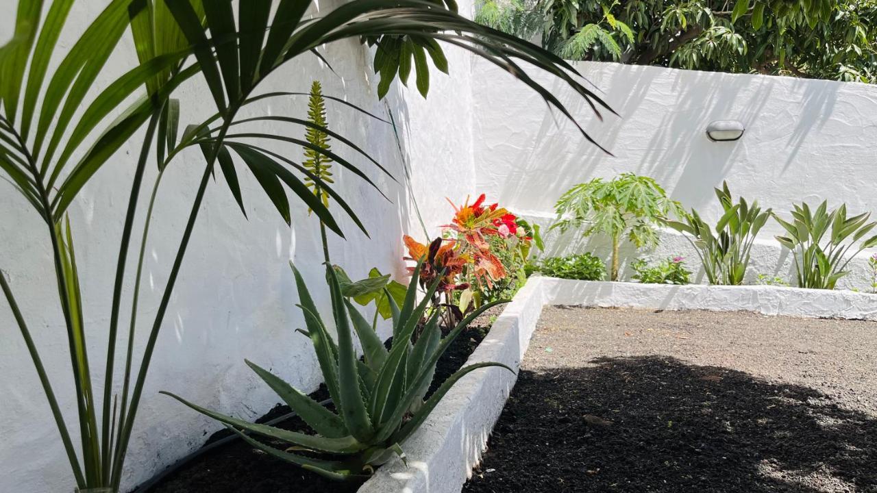 Jardin De La Suerte Βίλα Agaete  Εξωτερικό φωτογραφία
